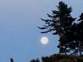 Moon-Maine Coast-3